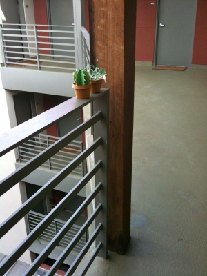 The part of the hallway that was full of plants.