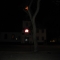The Elm, across the street from...