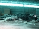 sfo mill 08.jpg
