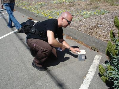 Chu Leaving Treasure