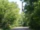 DSC03294.JPG