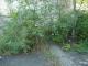 DSC03300.JPG