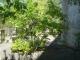 DSC03301.JPG