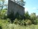 DSC03305.JPG