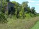 DSC03306.JPG