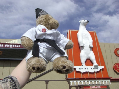 I am bigger than a polar bear!