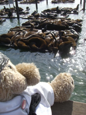 Pier 39, San Francisco