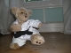 Black belt