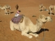 Oman