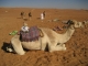 Oman