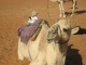 Oman
