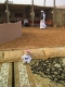 Oman