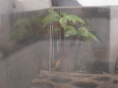 There he is There he is
