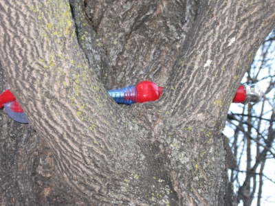 the first object i placed in a tree!