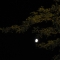 Almost full moon