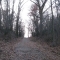 The Taking Tree by Samantha, Brock Dubbels, Sam Flannery, Donkraa The Taking Tree by Samantha, Brock Dubbels, Sam Flannery, Donkraa