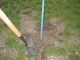The pole