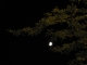 Almost full moon