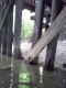 bridge-1.jpg