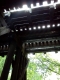 bridge-2.jpg