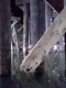 bridge-3.jpg