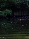 can you find him?