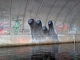grafitti.jpg
