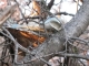IMG_1242.JPG#9