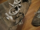 coming apart at the seams