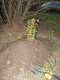 What a large amount of dirt.