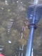 through-the-water1.jpg
