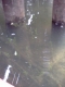 through-the-water2.jpg