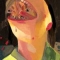 Face Eater