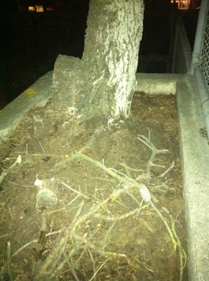06.29.2011.23.24photo.JPG