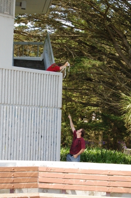 Now, how to follow her up there?