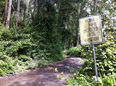 I: Blind Corner I: Blind Corner