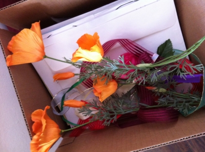 Forgotten and neglected plastic poppies.