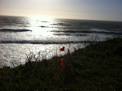 Couldn't have picked a prettier place.