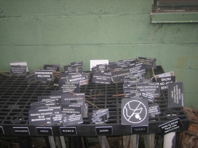 Mysterious found objects