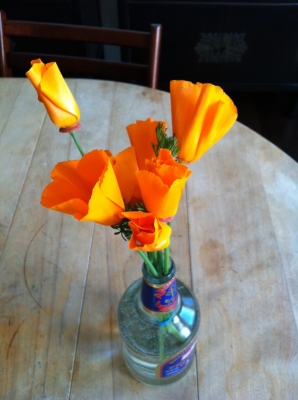 Real poppies, for comparison.