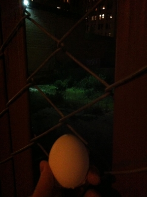 Godspeed, little egg.