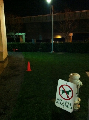 Hard to see it, but there's a convenient gap in that hedge...