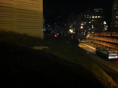 Wouldn't this be a great place to plant a tree?