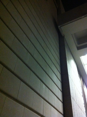 Extra bonus trespassing opportunity!