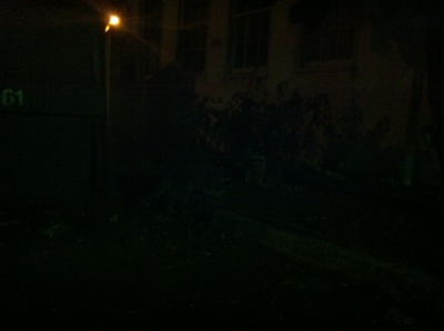 Photo Oct 30, 12 39 16 AM.jpg