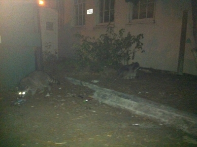 Photo Oct 30, 12 39 37 AM.jpg