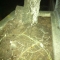 06.29.2011.23.24photo.JPG