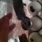 Feels strangely like making actual bombs.