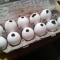 Eggshells packed to the brim with seeds.