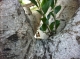 07.12.2011.23.05photo.JPG